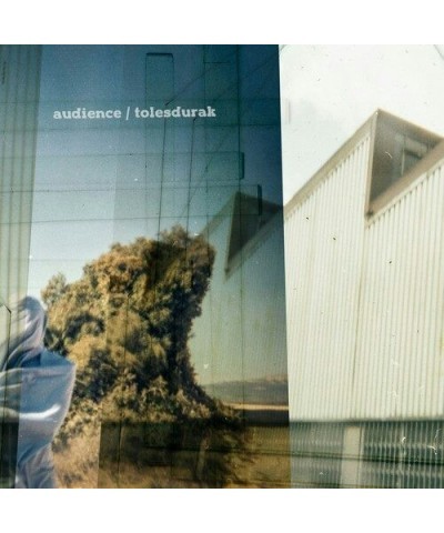 Audience TOLESDURAK Vinyl Record $6.90 Vinyl