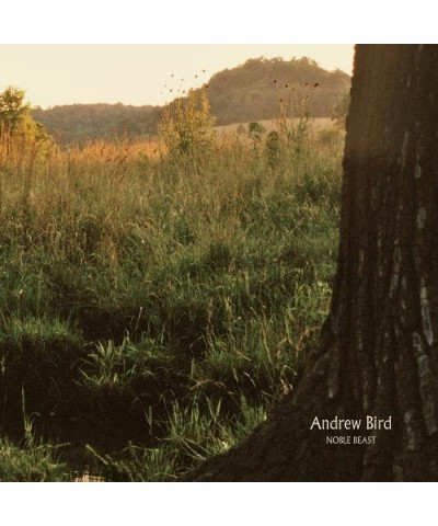 Andrew Bird Noble Beast Vinyl Record $12.30 Vinyl